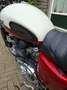 Triumph Bonneville T100 Wit - thumbnail 12