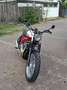 Triumph Bonneville T100 Wit - thumbnail 3