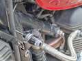 Triumph Bonneville T100 Wit - thumbnail 8
