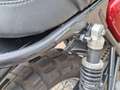 Triumph Bonneville T100 Wit - thumbnail 10