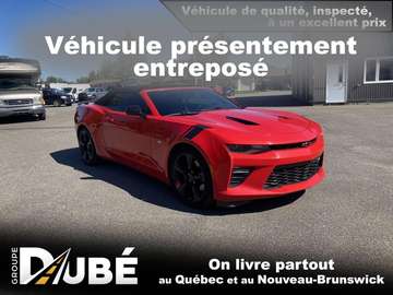 2SS cabriolet 2 portes