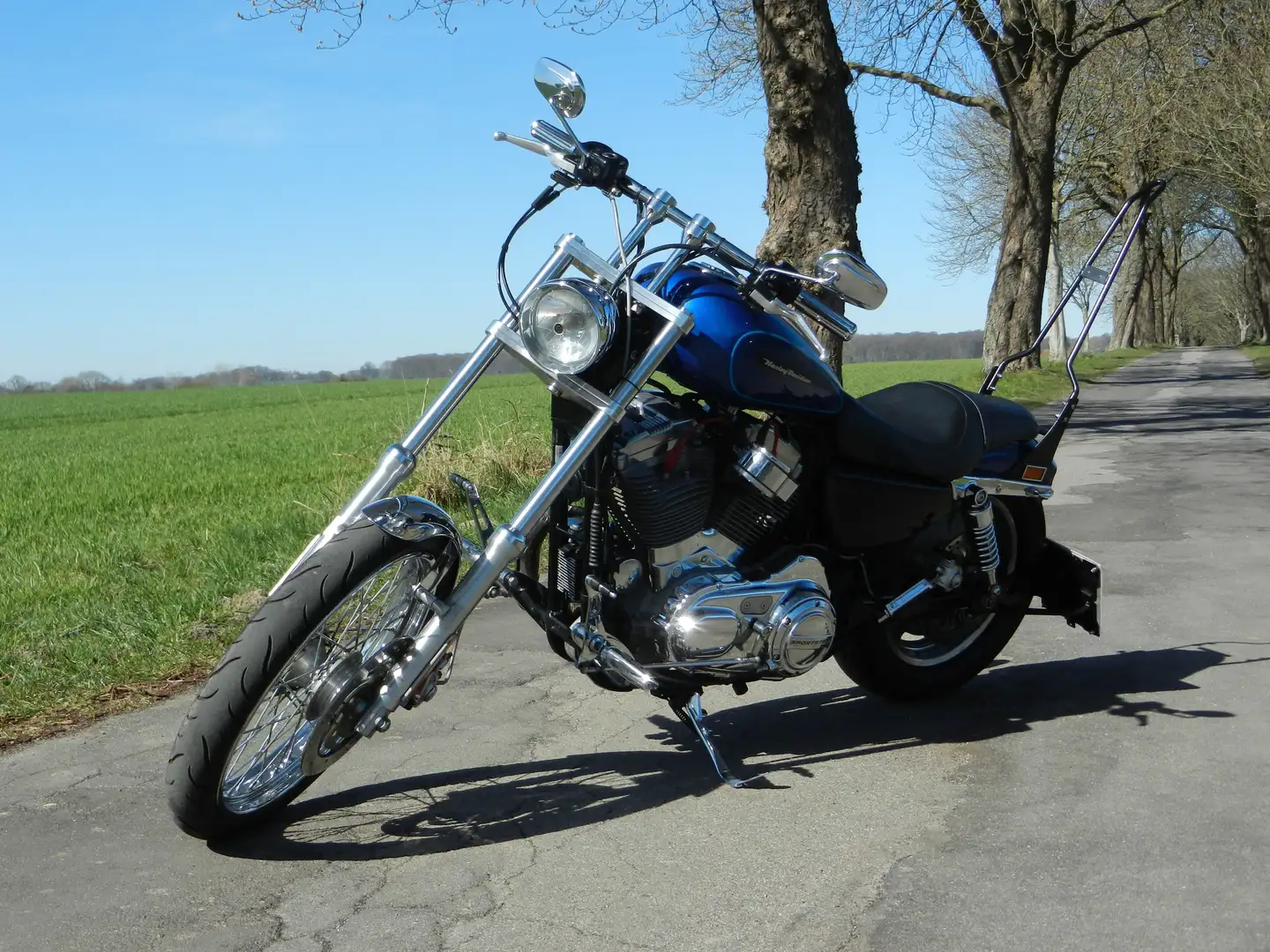 Harley-Davidson Sportster 883 XL 883 Custom Albastru - 2