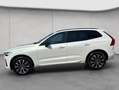 Volvo XC60 XC60 B4 AWD Plus-Dark Aut PilotAssist BLIS Leder Weiß - thumbnail 2