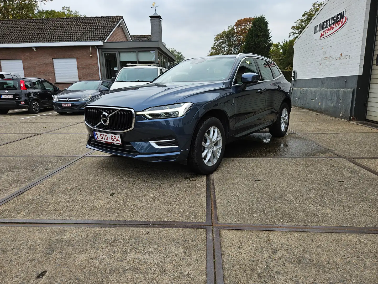 Volvo XC60 XC60 T8 Twin Engine AWD Geartronic Momentum Blu/Azzurro - 2