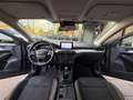 Ford Focus Focus 1.5 EcoBlue 95 CV SW Business - thumbnail 10