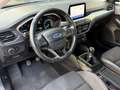 Ford Focus Focus 1.5 EcoBlue 95 CV SW Business - thumbnail 7