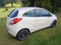 Ford Ka/Ka+ Ka 1,2 Trend Trend Weiß - thumbnail 4