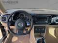 Volkswagen Beetle 1.2 TSI Design Bi-Xenon+PDC+SHZ+Klima Schwarz - thumbnail 9