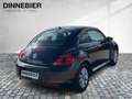Volkswagen Beetle 1.2 TSI Design Bi-Xenon+PDC+SHZ+Klima Schwarz - thumbnail 5
