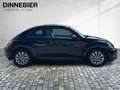Volkswagen Beetle 1.2 TSI Design Bi-Xenon+PDC+SHZ+Klima Schwarz - thumbnail 6