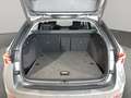 Skoda Octavia Combi SCOUT Grau - thumbnail 18
