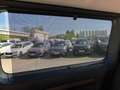Toyota Proace VERSO L1 EXECUTIVE AUTOM. Executive +XENON+AHK+SHZ Brun - thumbnail 31