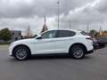 Alfa Romeo Stelvio 2.2jTD/1steEig/94000km/Leder/Trekhaak/Carplay/Cam Wit - thumbnail 5