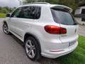 Volkswagen Tiguan Tiguan 2,0 TDI BMT 4Motion Sport DSG Sport Weiß - thumbnail 13