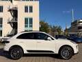 Porsche Macan S *SAGA-AHK-PANO-ACC-APPROVED 09/2026* Weiß - thumbnail 5