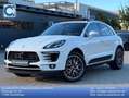 Porsche Macan S *SAGA-AHK-PANO-ACC-APPROVED 09/2026* Weiß - thumbnail 1