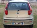 Fiat Punto Punto 3p 1.2 Actual abs Goud - thumbnail 21