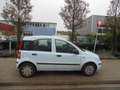 Fiat Panda 1.2 Active 10-2010 MET TREKHAAK Azul - thumbnail 1