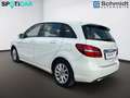 Mercedes-Benz B 220 4MATIC Aut. mit AHK Weiß - thumbnail 3