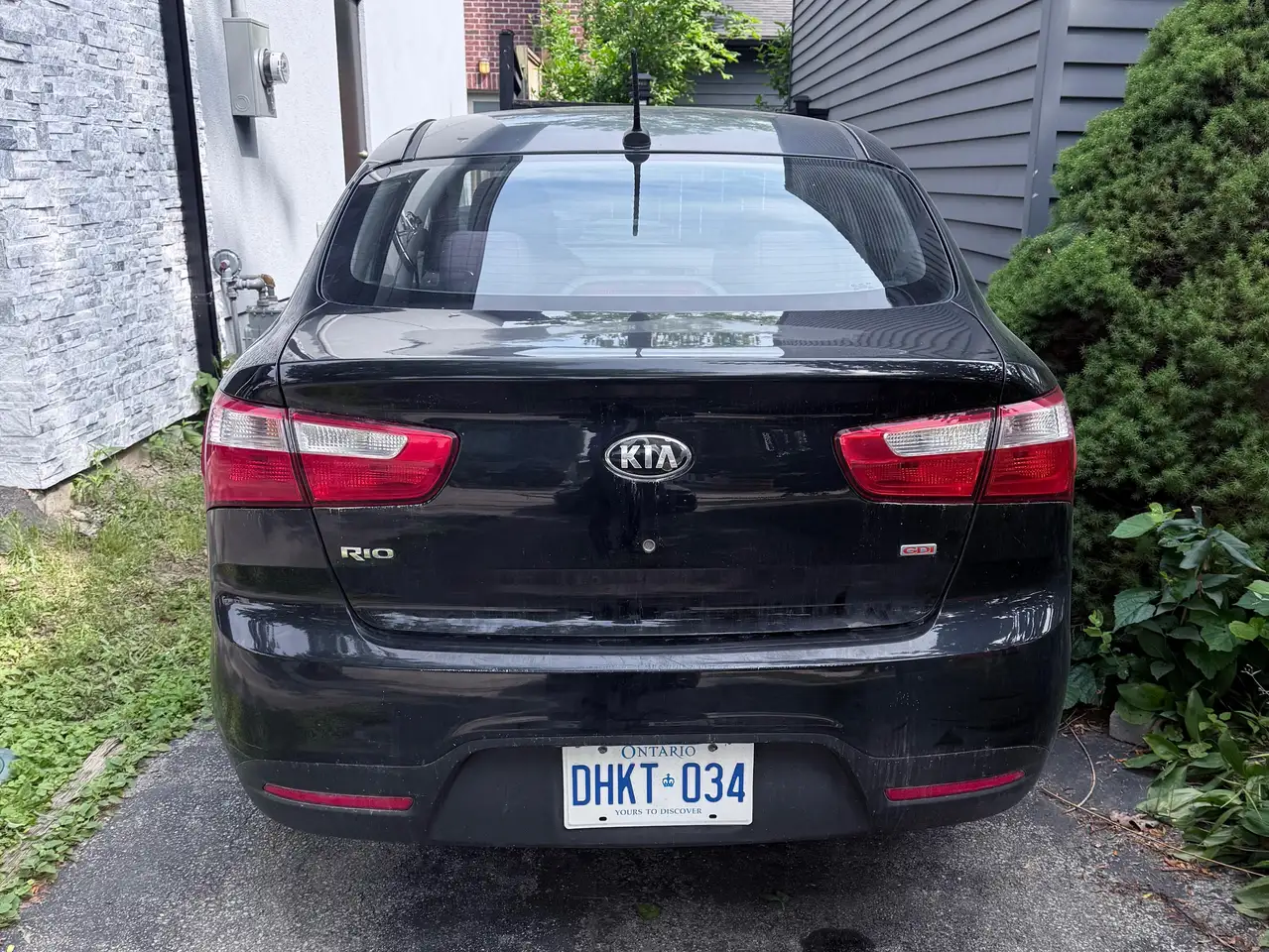 Kia Rio снимка Kia Rio