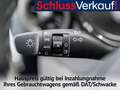 Hyundai i10 (MY25) 10 Benzin 5-MT TREND Grigio - thumbnail 15