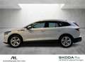 Skoda Enyaq iV 80 Loft Navi RFK LED DAB PDC Blanc - thumbnail 2