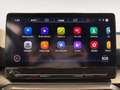 CUPRA Leon 1.5 eTSI 110 DSG Rojo - thumbnail 13