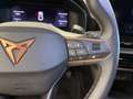 CUPRA Leon 1.5 eTSI 110 DSG Rojo - thumbnail 10