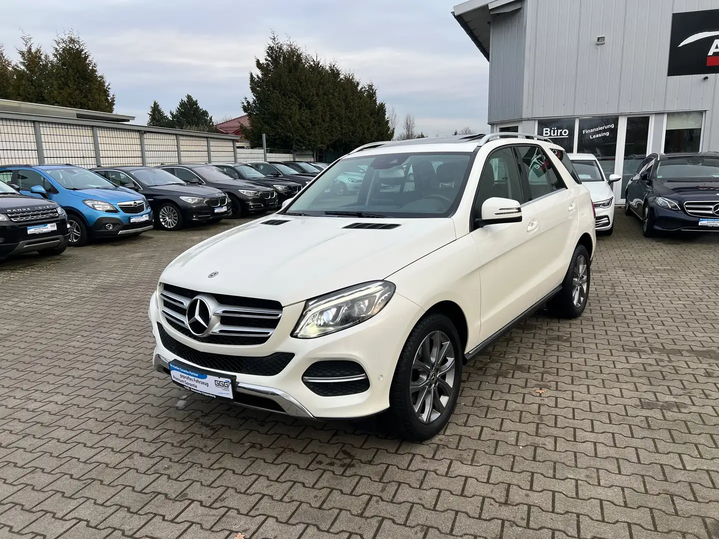 Mercedes-Benz GLE 250 d 4Matic *Finanzierung möglich *SBD *NAVI Alb - 1