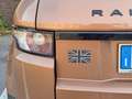 Land Rover Range Rover Evoque 5p 2.2 td4 Pure Tech Pack 150cv auto 9m Bronzo - thumbnail 9