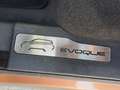 Land Rover Range Rover Evoque 5p 2.2 td4 Pure Tech Pack 150cv auto 9m Bronzo - thumbnail 11