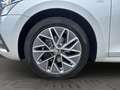 Skoda Octavia C. 2.0 TDI DSG Tour SHZ*STANDHZ*CAR-PLAY Klima Silber - thumbnail 10