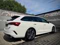 Skoda Octavia 2.0 TDI DPF RS HeadUp/MatrixLED! Weiß - thumbnail 7