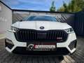 Skoda Octavia 2.0 TDI DPF RS HeadUp/MatrixLED! Weiß - thumbnail 2