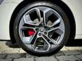 Skoda Octavia 2.0 TDI DPF RS HeadUp/MatrixLED! Weiß - thumbnail 10