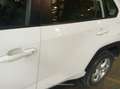 Toyota RAV 4 RAV4 2.5l 220H Business 4WD - thumbnail 37