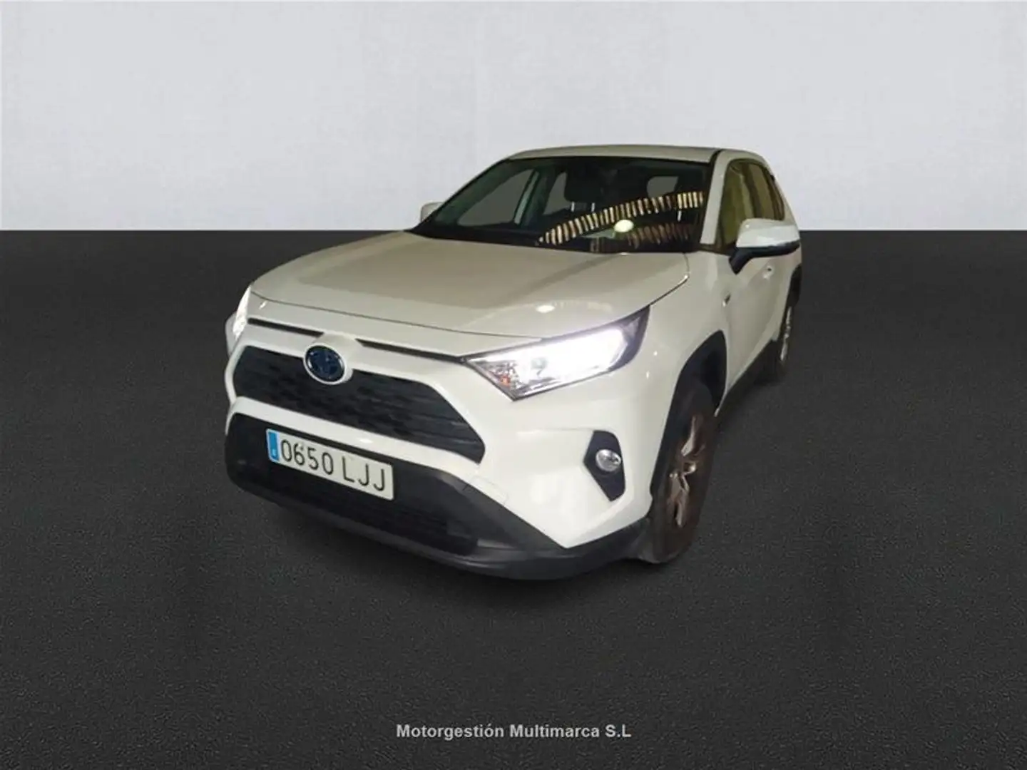 Toyota RAV 4 RAV4 2.5l 220H Business 4WD - 1