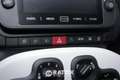 Fiat Panda Pandina 1.0 Firefly Hybrid 70CV Cross Grün - thumbnail 29
