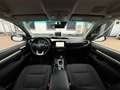 Toyota Hilux Double Cab 4x4 Aut. 2.4 D-4D Comfort, AHK, ACC Blanc - thumbnail 18