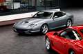 Ferrari 550 Maranello  Top Original Zustand Sammler Gris - thumbnail 30