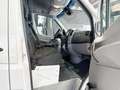 Mercedes-Benz Sprinter ALLRAD SPRINTER 519 4X4 V6 MAXI L3H2 ZG3-UNTERSETZ Blanc - thumbnail 17