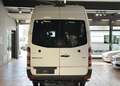 Mercedes-Benz Sprinter ALLRAD SPRINTER 519 4X4 V6 MAXI L3H2 ZG3-UNTERSETZ Blanc - thumbnail 11