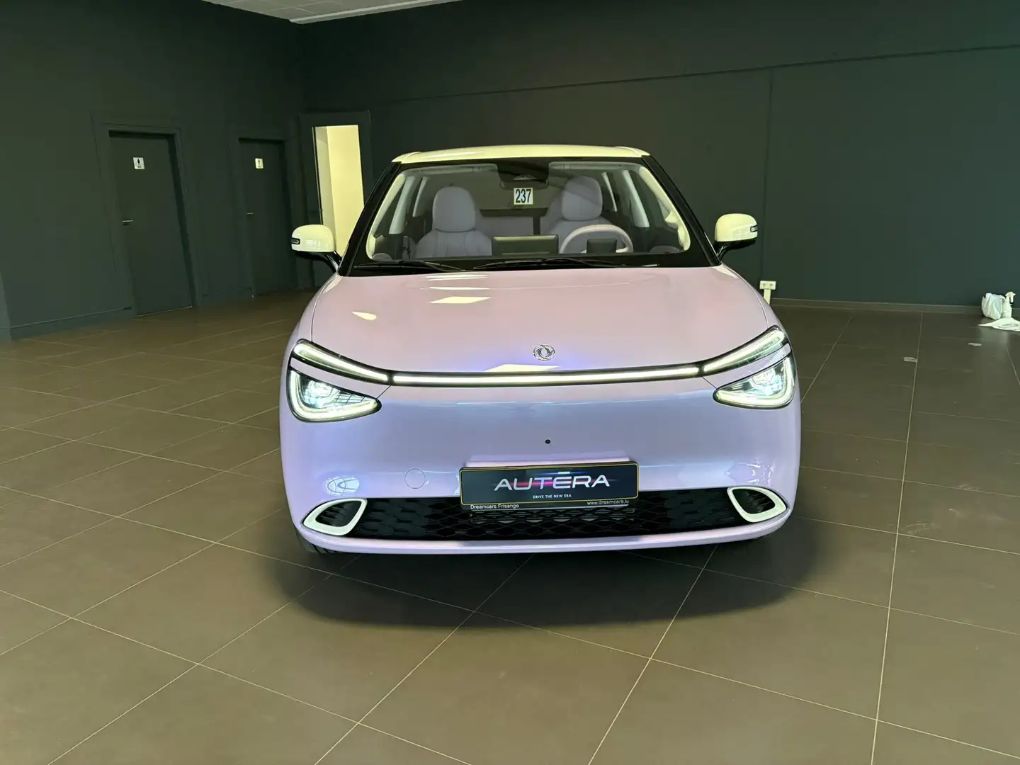 Dongfeng Box PRENIUM Violett - 2