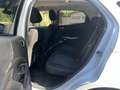 Ford EcoSport 1.0 EcoBoost Trend 125 Blanco - thumbnail 10