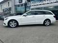 Mercedes-Benz E 220 BlueTEC 4MATIC T-Modell Weiß - thumbnail 3
