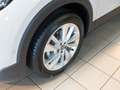 Volkswagen T-Cross Life 1.0 l TSI OPF 85 kW (116 PS) 7-Gang Gris - thumbnail 5