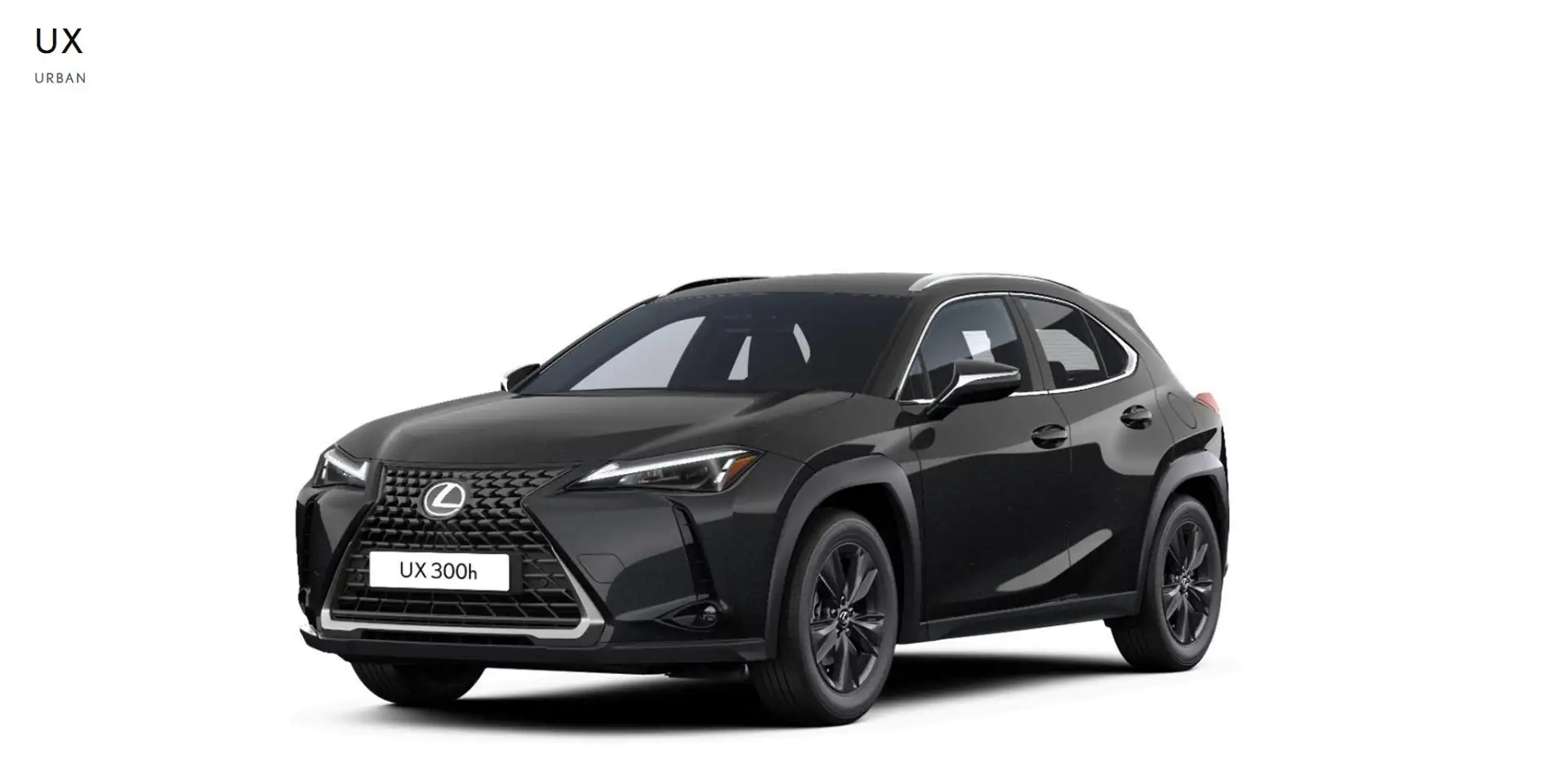 Lexus UX 300e 300h Urban Gris - 2