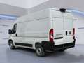 Fiat Ducato 35 2.2 Mjt 140CV PM-TM Furgone Wit - thumbnail 3