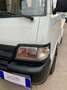 Piaggio Porter 1.3i 65CV 4x2 ALLESTIMENTO VELA PUBBLICITA Bianco - thumbnail 5