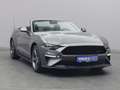 Ford Mustang GT Cabrio V8 California Special -18%* Grijs - thumbnail 36